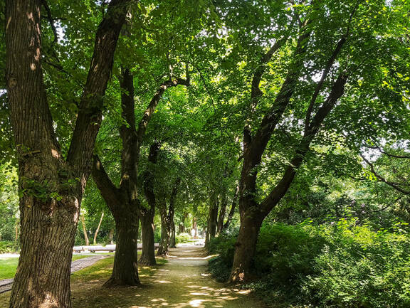 Kurpark Bad Düben