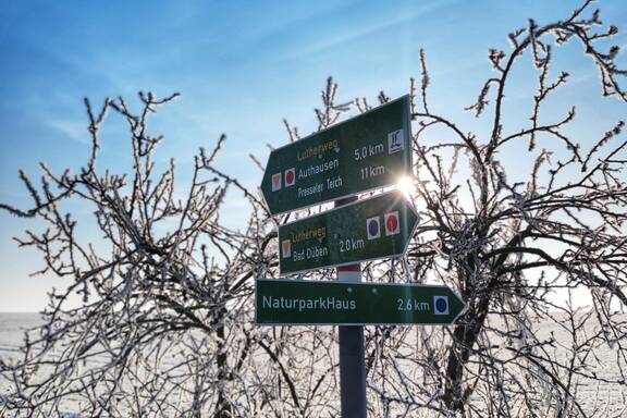 Beschilderung Dübener Heide im Winter