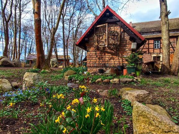 Obermühle im Frühling