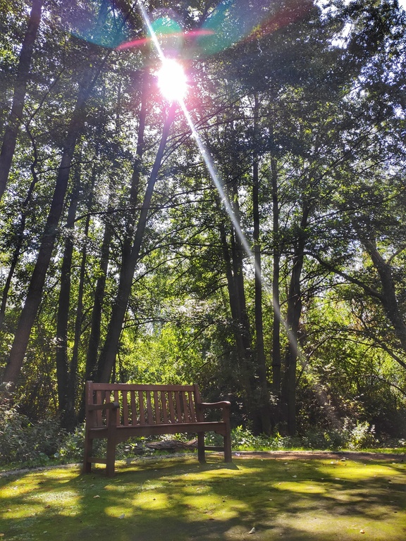 Bank im Garten der Sinne 